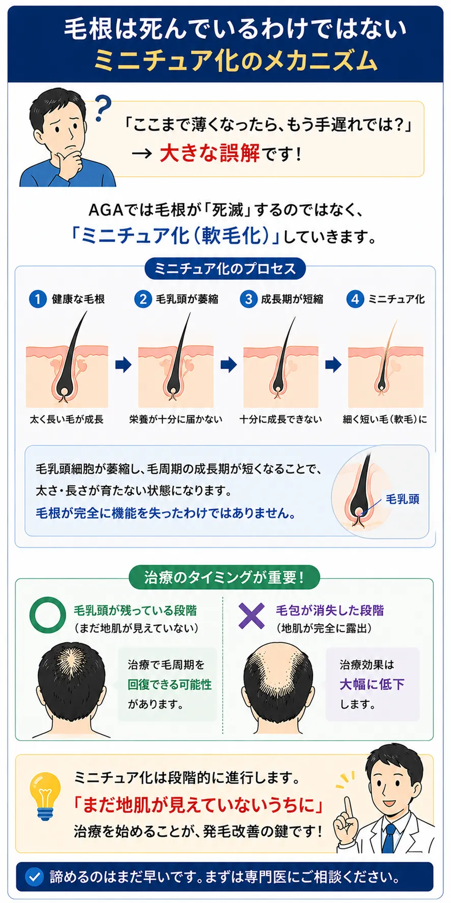 毛根は死んでいるわけではないミニチュア化のメカニズム